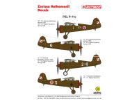 TCH48059 - PZL P.11c - decals