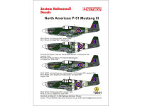 TCH72021 North American P-51 Mustang III decals
